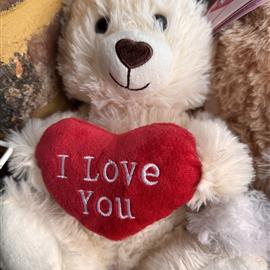 Teddy Bear (in need of a home!)