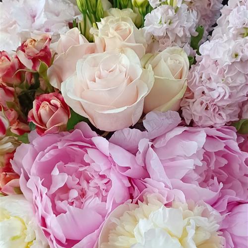 Strawberry Moon Luxury Peony Bouquet