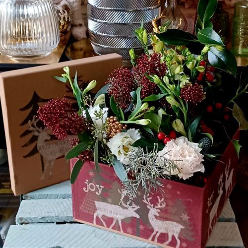 Three vases Joy to the World Festive Flowers 