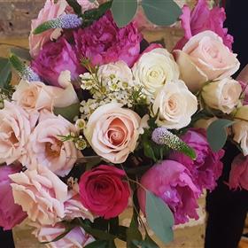fwthumb20191212_064849.jpg